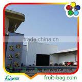 Taiwan Factory Customized Grape Bag Fruit Paper Bag thumbnail-3