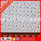 Hi-ana Lace1 Your One-stop Supplier High Quality White Cotton Lace Embroidery Fabric thumbnail-1