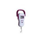 Portable Electronic Scales