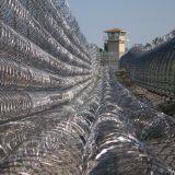 Hot Dipped Galvanized Razor Barbed Wire Security Fence Wire thumbnail-3