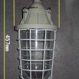 250W Extension Explosion-proof Lamp Waterproof Dustproof Lamp Explosion-proof Energy-saving Lamp BAD54 thumbnail-3