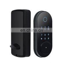 Indoor Wooden Door Lock Household Room Door Password Lock Replacement Spherical Smart Blue Tooth Lock