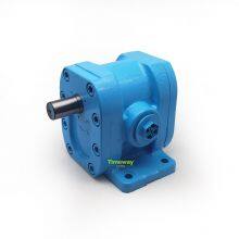 G11-25 Hydraulic Gear Pump G11-25A Gear Oil Pump Customization Supported thumbnail-4