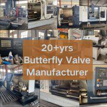 OEM Asme Manual 2 3 4 6 8 Fast Delivery EPDM PTFE SS304 SS316 Wholesale Butterfly Valves for Oil Acid Control Direct China thumbnail-5