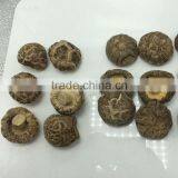 Dried Flower Shiitake Mushrooms 1KG thumbnail-5