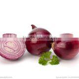 supply red onion powder