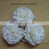 Sola Flower for Decoration