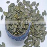 Cashew Nut Pumpkin Seeds Kernels GWS New Crop thumbnail-2