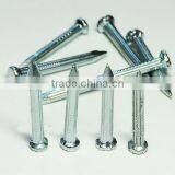 Galvanized Stainless Concrete Steel Nail thumbnail-2