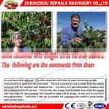 CBS-1100 Adjust Height Plastic Bags Continuous Band Sealer thumbnail-5