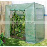 Tube Greenhouse(TK23025) thumbnail-1