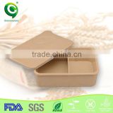 Christmas gift biodegradable leakproof bento lunch box