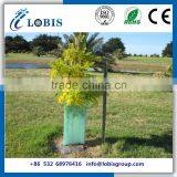 Foldable pp Corflute Corrugated Plastic Tree Guards
