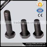 China Supplier M16-M30 High Strength Full Threaded Hex Bolt thumbnail-5