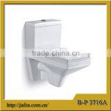 3716A Ceramic Washdown Wall Hung Toilet