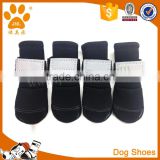 Fashion pets accessories neoprene dog shoes