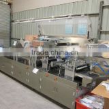 Automatic plastic blister packing machine for toothpick packing