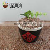 Brown Flax Seeds With Best Price thumbnail-2