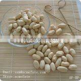Chinese Peanut Kernels(virgina Type) thumbnail-3