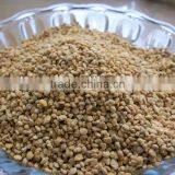 2013 Hot Sale Fresh Bee Pollen Rose Bee Pollen