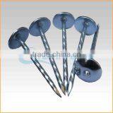 Top Quality Best Quality and Cheaper Big Head Roofing Nails Trusted Chuanghe Suppliers From Com thumbnail-5