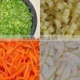 Taiwan New Teemyeah Vegetable Cutter Machine With Good Quality Leafy and Bulbous Cutter Machine TW-902 thumbnail-4