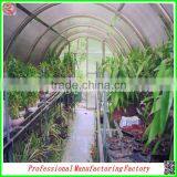 Economic and Eco-friendly Single-span Solar Greenhouse for Plant Growing With Arched Type thumbnail-6