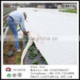 Anti-UV 18gsm 2m*200 Agricultural Ground Non-woven Cover thumbnail-1