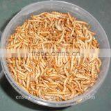 Pet Food Tenebrio Molitors &Dried Mealworm thumbnail-1
