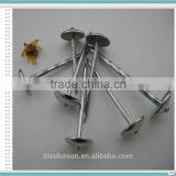 Roofing Nails Umbrella Head/Galvanized Roofing Nails Price/Roofing Nails thumbnail-6