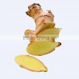 2017Instant Honey Ginger Crystal Ginger Drink Health Drink 13g*10 Bags /box , Tasteful Instant Honey Ginger Tea thumbnail-2