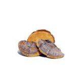 Phellinus Igniarius Extract thumbnail-1