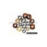 Hexagon Nuts thumbnail-1