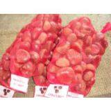 Chestnut,sweet Chestnut,qianxi Chestnut thumbnail-3