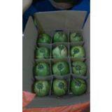 Sell Semi Husk Coconut - Vegion Biotech Co., Ltd thumbnail-2