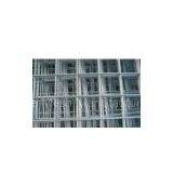 Welded Wire Mesh Panel/ Sheet