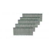 Steel Arranging Nail / Steel Nail/galvanized Nail
