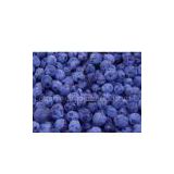 iqf wild blueberry  (sales6 at lgberry dot com dot cn)