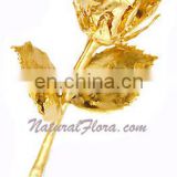 24kt Gold Plated Natural Rose Bud