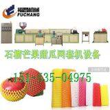 Epe Fruit Mesh Extruder Machine thumbnail-4