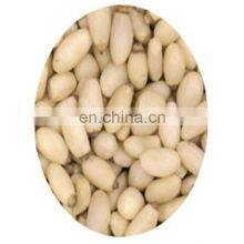 China The Most Popular Dried Fruit is the Shelled Pine Nut From Byloo Group Firm thumbnail-1