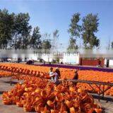 Linyi Goldlion Wicker Co., Ltd. company overview - view 1 thumbnail