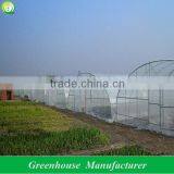 Single Span Tunnel Greenhouse thumbnail-1