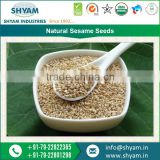 Conventional Processed Clean Sesame Seeds by Leading Supplier