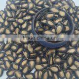 f1 Watermelon Seed Chinese Melon Seeds f1 thumbnail-2