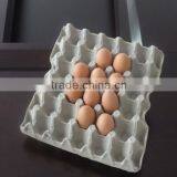 Good Quality Egg Tray Machine With Reasonable Price thumbnail-3