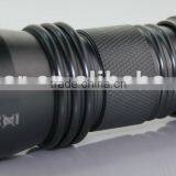21 LED Aluminum Flashlight