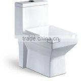 Sanitary Ware wc Toilet Ceramic One Piece Toilet Siphonic s Trap Easy Clean wc Toilet Y1303