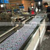 Houseware Water Transfer Printing Process Water Transfer Printing Automatic Machine thumbnail-2