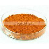 Natural OPC 95% Low Price Pine Bark Extract thumbnail-2